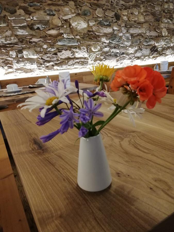 산제노 Agritur Ciastel 빌라 외부 사진